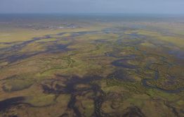Торейские озера — возрождение или смерть?