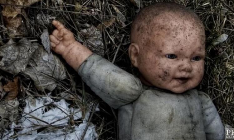 Труп младенца откопали собаки на свалке в Забайкальске