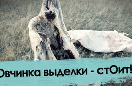 Овчинка выделки не стоит 