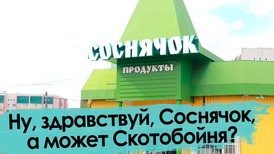 Сосновый Бор в Чите — и сквозь века все та же Скотобойня