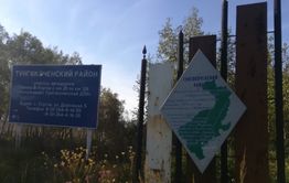 Житель Тунгокоченского района задержан за ДТП, в котором погиб подросток