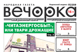 «Вечорка», № 47: «Читаэнергосбыт» или твари дрожащие