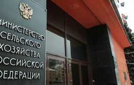 Слухи