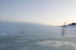 Курлыч затопили грунтовые воды (Фото и видео)