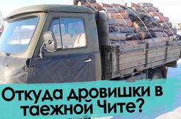 Жителям Сивяково не выписывают лесобилет на вырубку дров