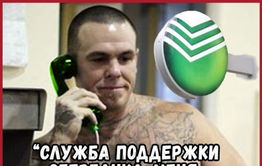 Путин подписал закон о блокировке сотовой связи в российских колониях