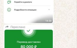 Матери бойца СВО и военкорам «Вечорки» угрожают