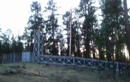 Порыв ветра повалил в Атамановке вышку сотовой связи и несколько сосен (фото)