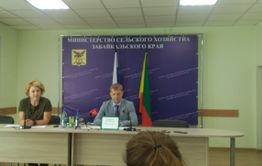 Власти стараются сократить сроки строительства погоревших стоянок