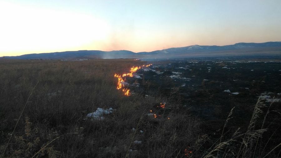 Забайкалец заплатит за тушение пожара, который произошел по его вине
