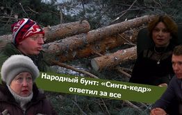 Вечорка ТВ: Народный бунт: «Синта-кедр» ответил за все