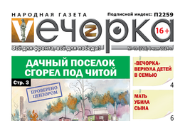 Год в обложках «Вечорки»