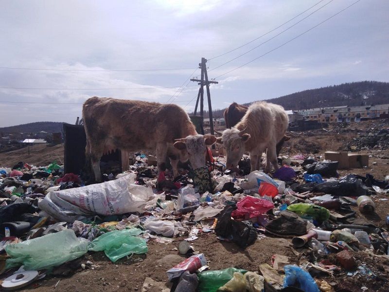 Предположительно, педофилы на джипе в Вершино-Дарасунском предлагают детям бесплатно прокатиться до школы 