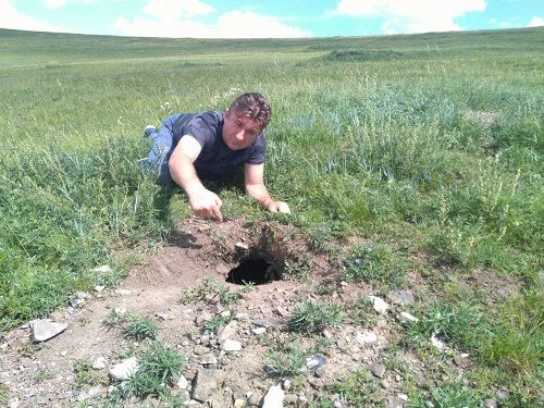 День сурка: Предстоящая зима в Забайкалье будет лютой (фото, видео ловушка)