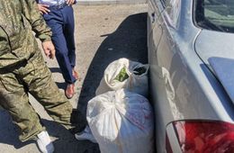Забайкальца задержали с 30 килограммами конопли 