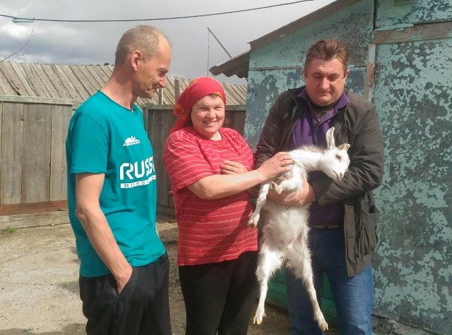 Козочка от Экофермы «Страусы» Забайкалья доставлена в село Хадакта