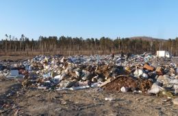 ​Петиция с требованием запретить создание свалки на Тасее появилась в Сети