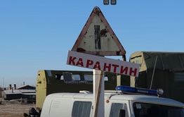 Губит коров не ящур: жители Красной Ималки говорят, что скот болен дерматитом
