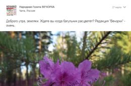 Gazetavechorka.ru сообщает