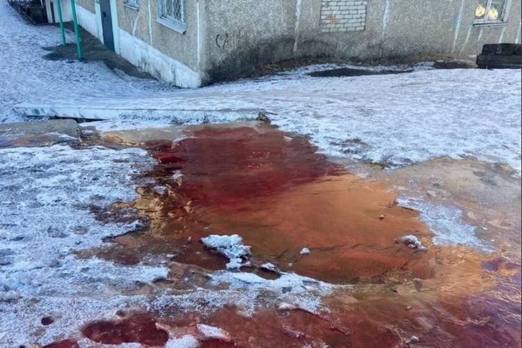 Из септика больницы в Могоче текут багровые реки. Прокуратура начала проверку.