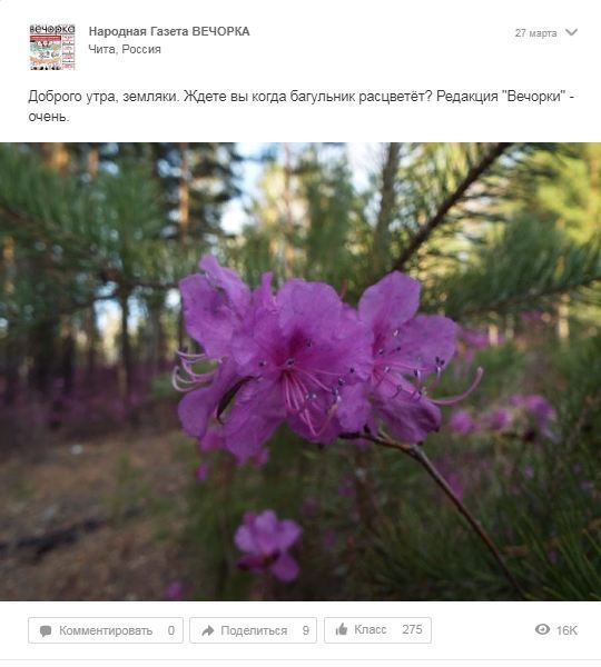 Gazetavechorka.ru сообщает