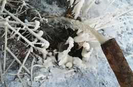 В селе Дунаево фекальные реки топят частный сектор