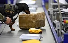 Забайкальские контрабандисты предстанут перед судом за попытку вывоза золота в Китай