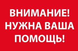 Объявлен сбор средств на помощь сотруднице нерчинской библиотеки — ее сын погиб в Красноярске