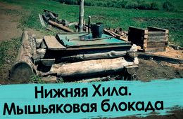Нижняя Хила: здесь травят мышьяком 