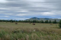 20-летний забайкалец сжег 560 тюков сена из-за ссоры с односельчанином 
