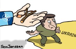 Читатели «Вечорки» обратились к президенту Украины Владимиру Зеленскому