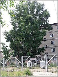 Жители 12-го городка в Чите опасаются взрыва газа
