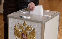 Выборы главы пройдут в Чернышевском районе