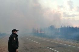 ​Причиной одного из пожаров у Ивано-Арахлейских озер стал обрыв линии электропередач