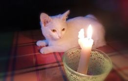 Больше 4 тысяч читинцев остаются без света после ливня с грозой