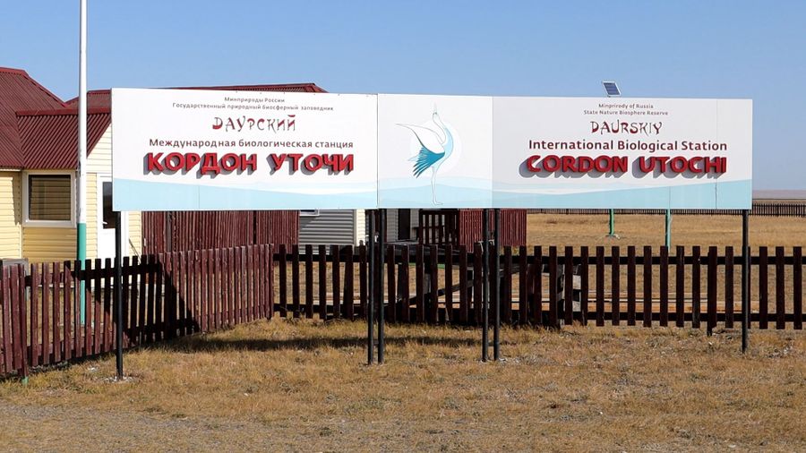 Главы забайкальских сел просят монгольский народ помочь спасти Тореи 