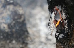 Особый противопожарный режим отменили в Забайкалье