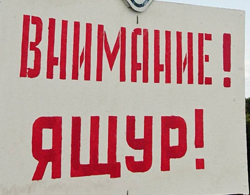 ​Жителям села Кайластуй возместили ущерб за изъятие заболевших ящуром животных