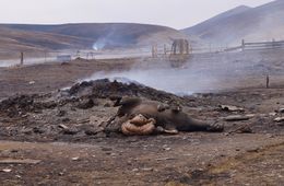Забайкальский край вновь заполыхал