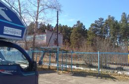 В окрестностях курорта Кука бродят два медведя