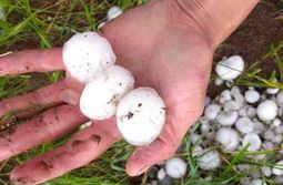 Град размером с куриное яйцо. Забайкальск. 5 ...
