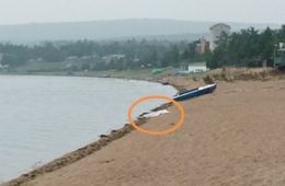 Труп неизвестного нашли на Арахлее около места, где хотели взорвать Осину