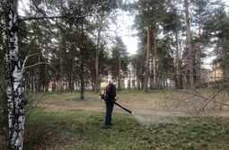 Парки, скверы и площади в Чите обработают от клещей