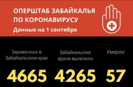 Еще 33 человека заразились коронавирусом за сутки в Забайкалье. Столько же вылечилось.