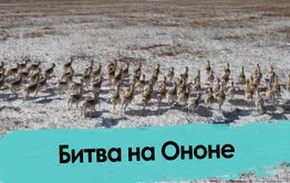 Незаконные мигранты из Монголии терроризируют казаков Забайкалья