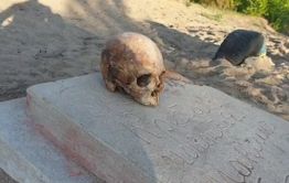 Gazetavechorka.ru сообщает