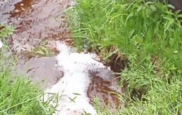 «Вечорка ЦУР»: Каждый год мой огород топят ручьи, — жительница Александрово-Заводского района