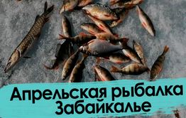 За лупами арахлейских озер