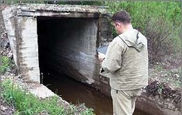 В могочинской воде можно найти не только пиявок-мутантов, но и червей
