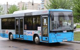 Автобусы № 19 с большими задержками ездят в Чите